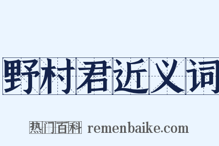 野村君近义词是什么意思的图片